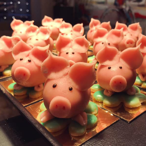 schweinchen